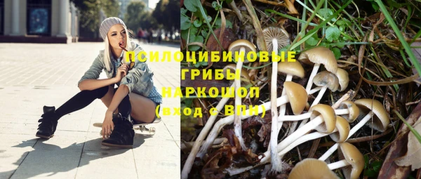 кристаллы Алзамай